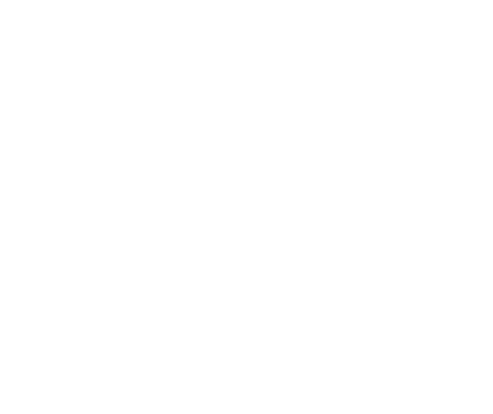 ITの力が旅行のカタチを変える。VIRTUAL NET SUPPORT